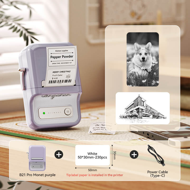 NIIMBOT B21 Pro 300dpi Label Printer, Photo Printing, Bluetooth Connection for Home, Business, Office
