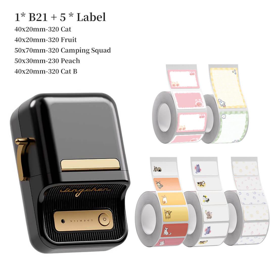 NIIMBOT B21 Bluetooth Thermal Kitchen Storage Labels Printer, Efficient for Home, Support PC&Phone