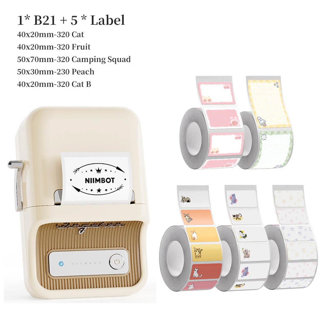 NIIMBOT B21 Bluetooth Thermal Kitchen Storage Labels Printer, Efficient for Home, Support PC&Phone