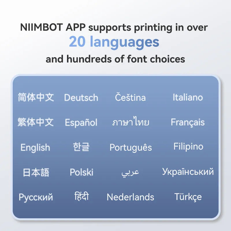 NIIMBOT B1 Thermal Logistics Label Printer, for Shipping Packages, Support Android, iPhone, Windows