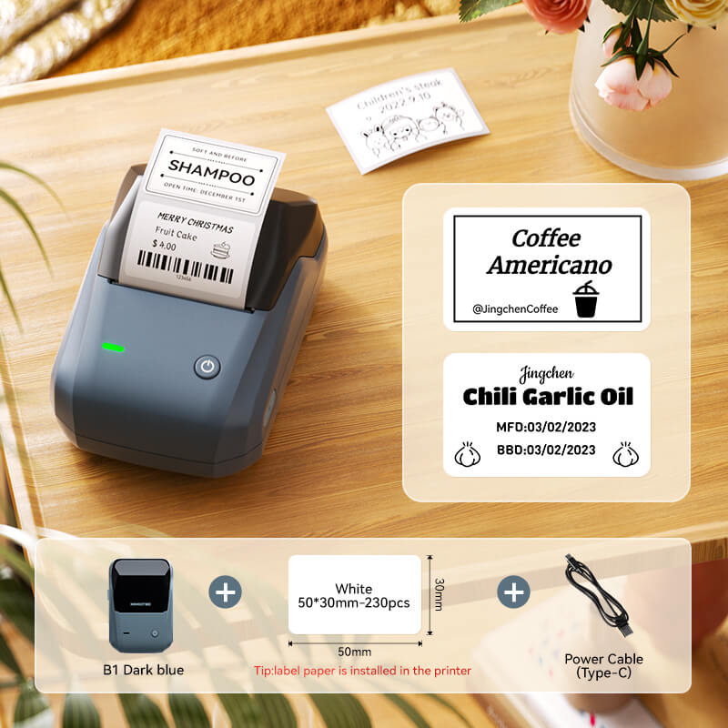NIIMBOT B1 Thermal Logistics Label Printer, for Shipping Packages, Support Android, iPhone, Windows