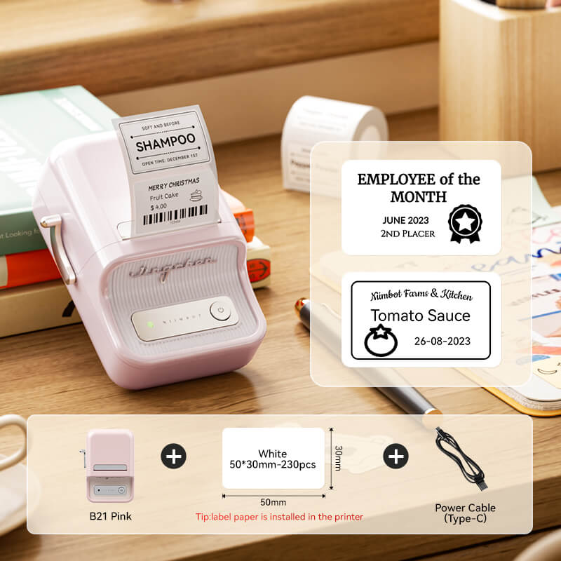 NIIMBOT B21 Bluetooth Thermal Kitchen Storage Labels Printer, Efficient for Home, Support PC&Phone