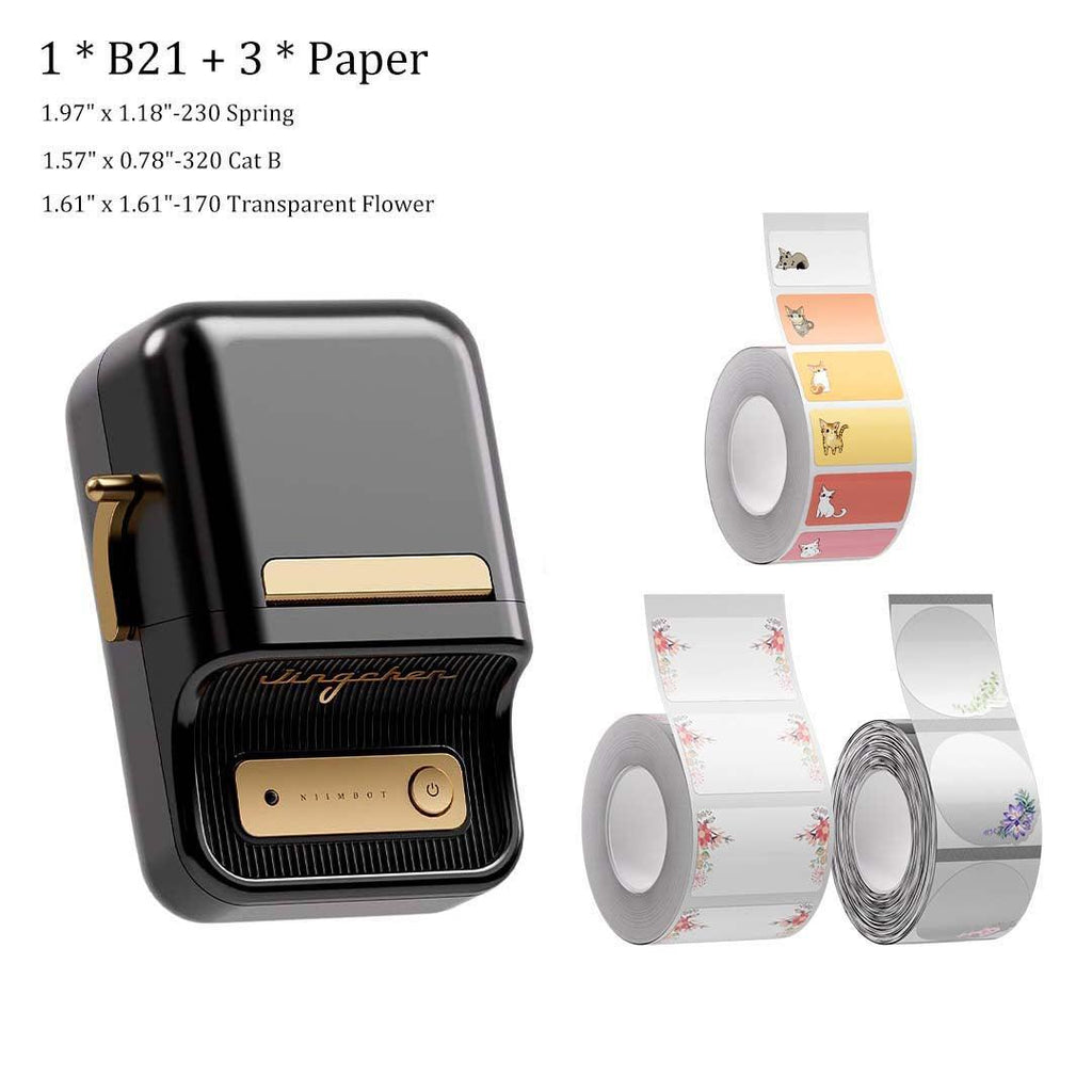 B21 Label Maker and Label Tape Set