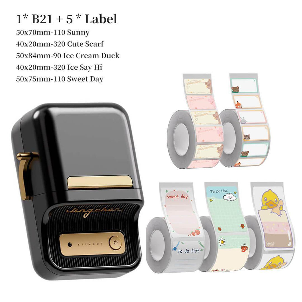 B21 Label Maker and Label Tape Set