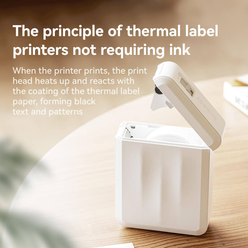 NIIMBOT D110 Upgraded Bluetooth Printer for Office, Home, Kitchen, School