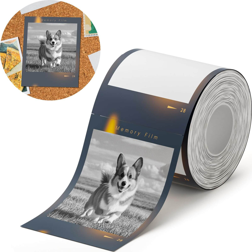 Photo Papers, Red&Black Labels for B21 Pro